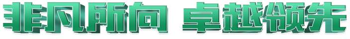 非凡所向 卓越领先